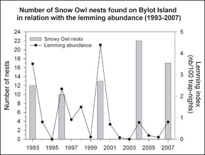 Snowy Owl Classification Chart